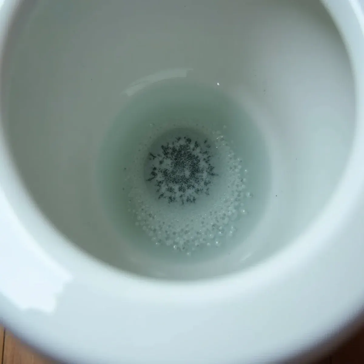 Toilet bowl water gurgling and bubbling due to trapped sewer gas behind root mass